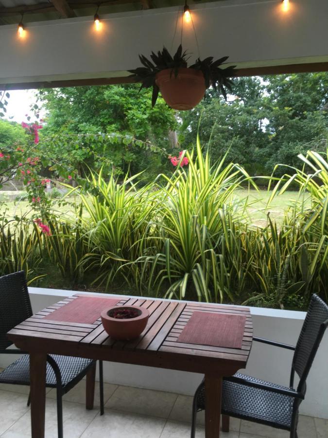 Ancella'S Garden Apartment-Beach-5Min Drive, 1 Hr Montego Bay, 25 Mins Ocho Rios, Continental Breakfast Runaway Bay Exterior foto