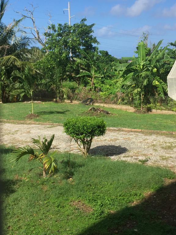 Ancella'S Garden Apartment-Beach-5Min Drive, 1 Hr Montego Bay, 25 Mins Ocho Rios, Continental Breakfast Runaway Bay Exterior foto